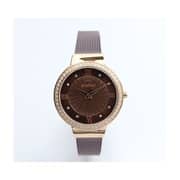 Spectrum Explorer Mesh Band WOMEN's Brown Watch - S25177L-3