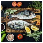 Gastroback Design BBQ Advanced Control Contact Grill 42539