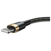 Baseus Lightning Cable 2M Gold/Black