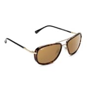 NOVA Rivaldo Brown Sunglasses For Men NV4217F01