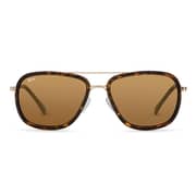 NOVA Rivaldo Brown Sunglasses For Men NV4217F01