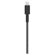 Max Braid 3A Metallic Lightning Cable Grey 2m