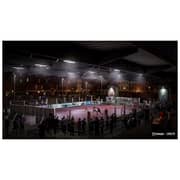 PS4 FIFA 20 Game