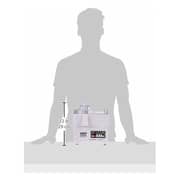 Sanford 4in1 Juicer Blender 1.6 Litres SF5501JB