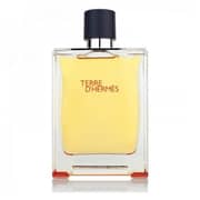 Hermes Terre De Hermes EDP 200ml Men