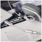 Moshi USB-C to 3.5 mm Stereo Jack Adapter - Silver