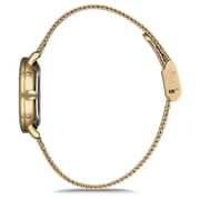 Omax Dome Series Gold Mesh Analog Watch For Women DCD004G11I