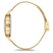 Omax Glamour Series Gold Mesh Analog Watch For Women GMA01G61Y