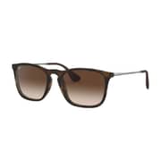 RayBan RB4187-856/13-54 Brown/Tortoise Nylon Men Sunglasses
