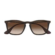 RayBan RB4187-856/13-54 Brown/Tortoise Nylon Men Sunglasses