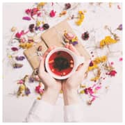 Gastroback Design Automatic Tea Maker 42440