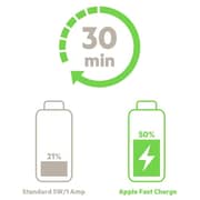 Belkin F7U061my-SLV 27W+12W USB-C/A Dual Home Charger Silver