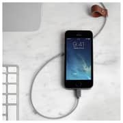 Native Union Belt XL Lightning Cable 3m Zebra