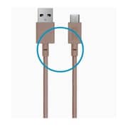 Native Union Belt Type-C Cable 1.2m Taupe