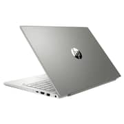 HP Pavilion 14-CE3007NE Laptop - Core i5 1GHz 8GB 512GB 2GB Win10 14inch FHD Mineral Silver English/Arabic Keyboard