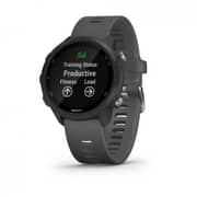 Garmin 010-02120-10 Forerunner 245 Slate GPS Smartwatch Grey
