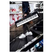 Casio Portable Keyboard CT-S100C2