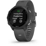 Garmin 010-02120-10 245 Forerunner Slate Grey