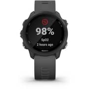 Garmin 010-02120-10 245 Forerunner Slate Grey