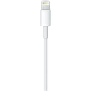 Apple MXLY2FEA Lightning To USB Cable 1m White