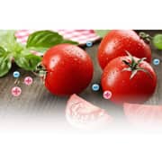 Sharp Top Mount Refrigerator 750 Litres SJGMF750SL3