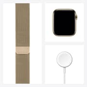 Apple Watch Series 6 GPS+Cellular 40mm Gold Stainless Steel Case with Gold Milanese Loop - Middle East Version