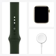 Apple Watch Series 6 GPS+Cellular 44mm Gold Stainless Steel Case with Cyprus Green Sport Band
