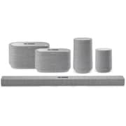 Harman Kardon Wireless Speaker CITATION300GRY