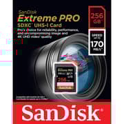 Sandisk Extreme Pro SDXC Card 256GB Black SDSDXXY-256G-GN4IN