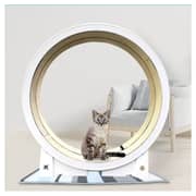 Cat Planet White Gold
