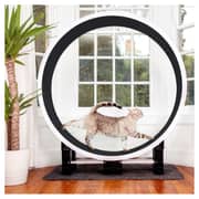 Cat Planet White Gold