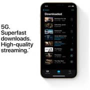 Apple iPhone 12 Pro Max (256GB) - Gold