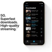 Apple iPhone 12 Pro (256GB) - Gold