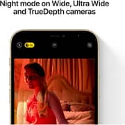 Apple iPhone 12 Pro (256GB) - Gold