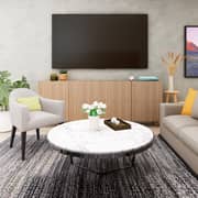 TV installation with Swivel Bracket