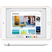 iPad mini (2019) WiFi 64GB 7.9inch Silver