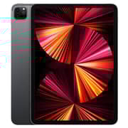 iPad Pro 11-inch (2021) WiFi 256GB Space Grey Middle East Version with FaceTime
