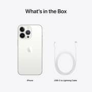 Apple iPhone 13 Pro (128GB) - Silver Middle East Version with FaceTime