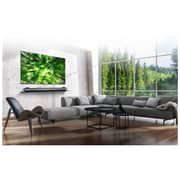 LG 65W8PVA 4K Smart OLED Television 65inch (2018 Model)