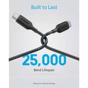 Anker USB Type C To USB Tpye C Cable 0.9m Black