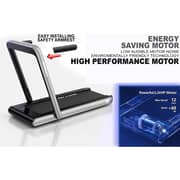 2-in-1 Walking Pad & Foldable Treadmill | 2.25 HP Motor, Auto Speed, Bluetooth Speaker, LED Display | Compact Home & Office Running Machine EM-1282-G