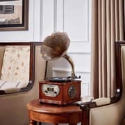 LuguLake Bluetooth Phonograph Record Player Turntable, Library Vintage Phonograph Gramophone with Copper Horn, Built-in Independent subwoofer 3.5mm Aux-in/ USB/FM for Home/Office