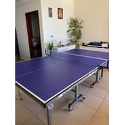 Skyland Em-8002 Single Folding Movable Tennis Table, Blue