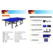 Skyland Em-8002 Single Folding Movable Tennis Table, Blue