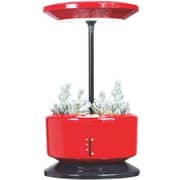 Merlin Desk Garden Harvest ASST