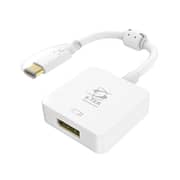 STEK USB Type C to DP Converter Type C to DisplayPort Adapter 4K Male to Female