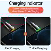 Dux Ducis KIV USB Type-C to Lightning Cable 3m Black