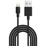 Ravpower Type A to Lightning Cable 1m Black
