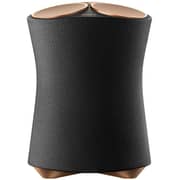 Sony Premium Wireless Home Speaker Black