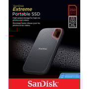 Western Digital Portable External Hard Drive 5TB + Sandisk E60 SSD 250GB Black WDBPKJ0050BBK-WESN